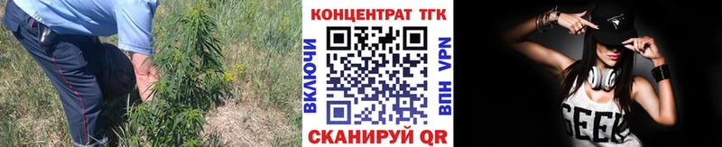 Купить закладки  Комсомольск  ТГК THC oil 