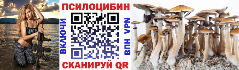 Купить закладки  Комсомольск  Галлюциногенные грибы Cubensis 